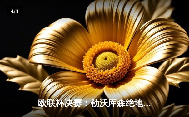 欧联杯决赛：勒沃库森绝地反击3-2罗马，不败神话延续至49场 - 4